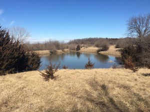 Excellent Hunting with Rolling Hills Pasture photo