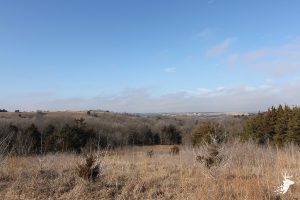 Flint Hills Farm with Exceptional Hunting photo