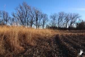 Hunting and Prime Tillable Acreage photo