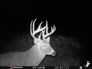Diverse Hunting Property with CRP income photo