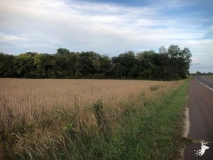 Building Opportunity with Hunting and Tillable Income photo