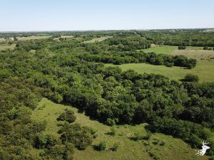 60 M/L Acres with Variety of Hardwoods and Streams photo