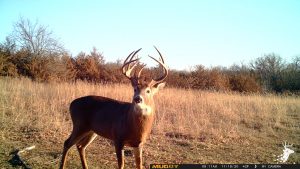 Excellent Hunting and Investment Property photo