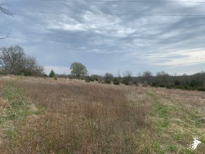 Potential Build Site with Mix of Pasture and Timber photo