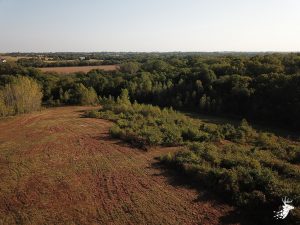 12 M/L Acre Build Site in Holton, KS photo