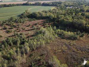 17 M/L Acres in Holton, KS photo