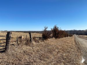 Build Site, Rolling Pasture Ground, Hunting Retreat photo