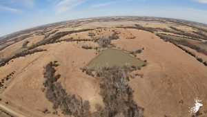 Quarter Section for Work, Hunt, or Play photo