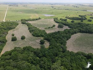 Agricultural Production, Timber Value and Amazing Hunting photo