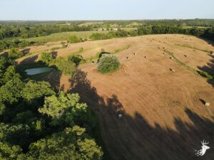 Exceptional 62 M/L Acres with Brome, Hardwoods and Creek photo