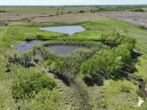 Deer Hunting/Build Site Close to Topeka photo