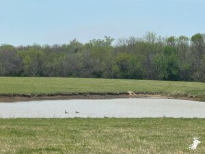 80 M/L Acres Close to Topeka – Building Site- Development photo