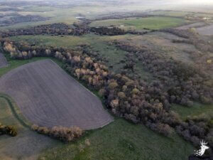 Western Jackson County Ag and Hunting photo