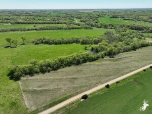 Hunting, Cattle, Build-Site photo