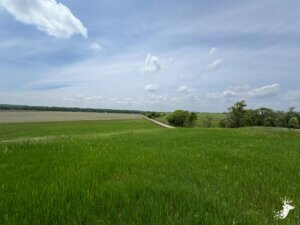 Hilltop Building Site photo