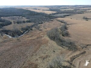 Whitetail deer hunting with CRP Income photo
