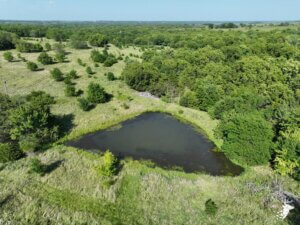 Big Buck Sanctuary with Pond photo