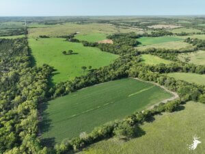 Turn Key Deer Hunting with Pond and Creek photo