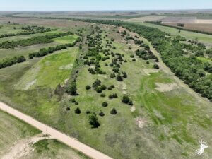 Arkansas River Whitetails photo