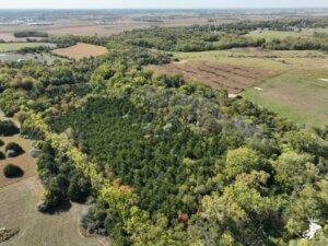Recreational Property with Build-Site Potential on Pavement photo