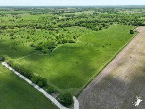 Secluded Pasture/Hay Ground with Build-Site Potential photo