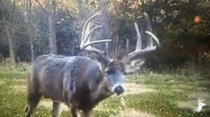 Booth Creek Whitetail Haven photo