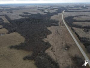 Premium Hardwoods Deer Hunting photo