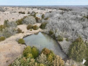 Deer and Turkey Oasis with Creek and Ponds photo