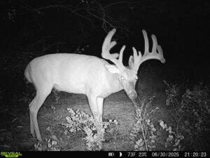 Osage Quarter Section photo