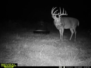 Turn Key Deer Hunting with Pond and Creek Bed photo