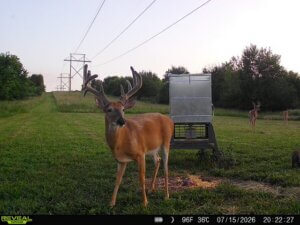 Turn Key Deer Hunting with Pond and Creek Bed photo