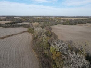 Deer and Turkey Hunting with Build-Site Potential photo