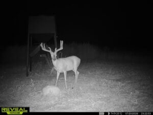 Rare Kiowa County Recreational Ranch – Trophy Whitetail Hunting & Stunning Views photo