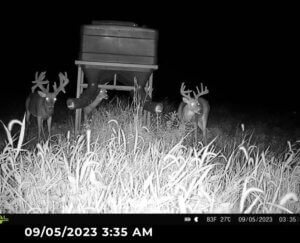 Turn-Key Premier Hunting Property with Cattle Income photo