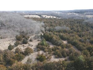 25 M/L Acre Secluded Build Site photo