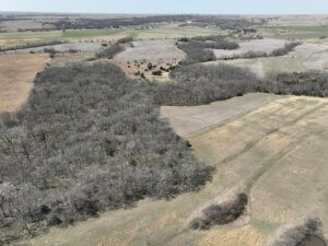 Hardwoods Deer Hunting with Creek and Tillable Income photo