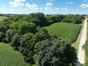 Build Site with Creek Bed, Timber & Tillable Acres – Prime Location photo