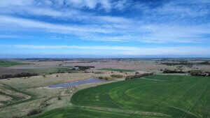 Clay County 149 M/L Acres photo