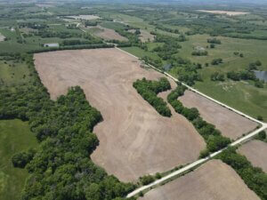 Productive Jackson County 82 M/l Acre Farm photo