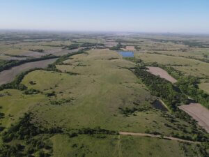 Flint Hills Native Grass Pasture photo
