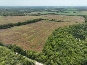 80 M/L Acres of Prime Hunting, Tillable Ground & Investment Potential photo