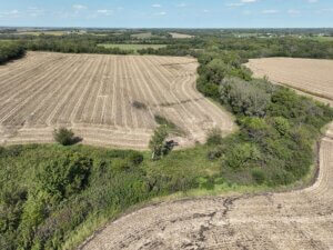 80 M/L Acres of Prime Hunting, Tillable Ground & Investment Potential photo