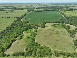 Hunt Build Invest – 80 M/L Acres photo